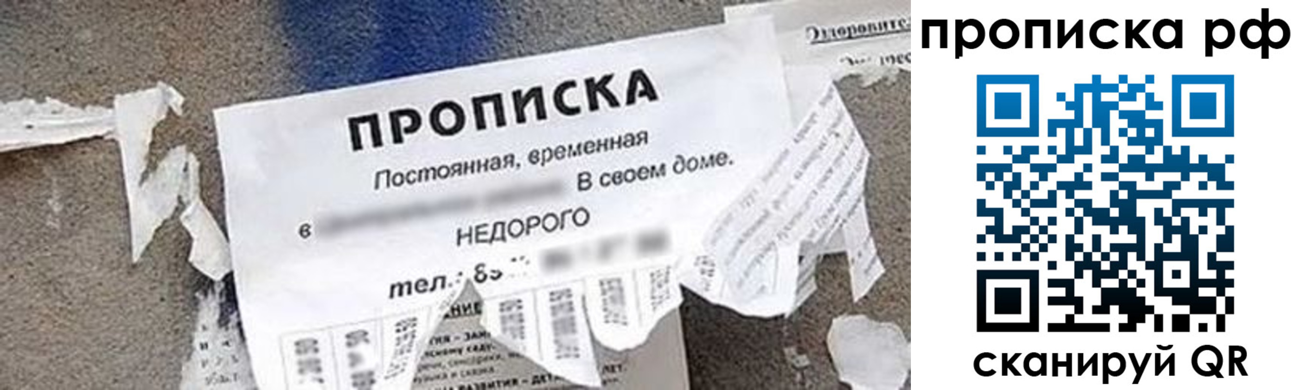 где прописаться в Фрязино